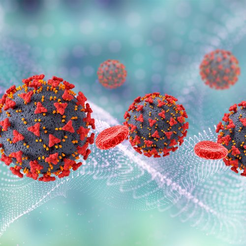 Maymun Çiçeği Virüsü Nedir?