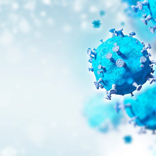 Maymun Çiçeği Virüsü Belirtileri